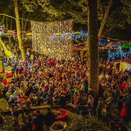 Gold Jet מלון 4*